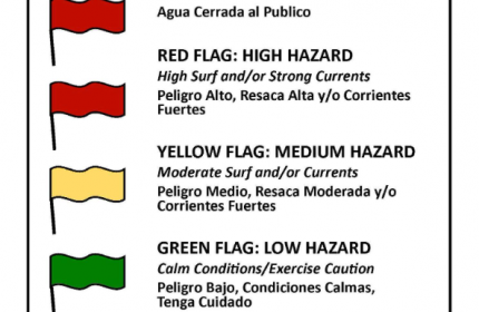 Beach Warning Flags