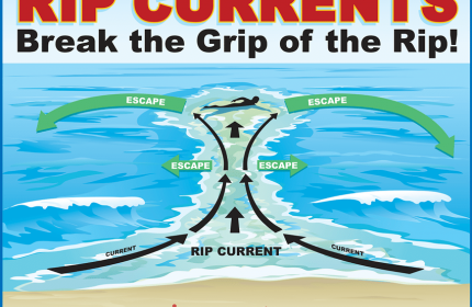 Rip Currents